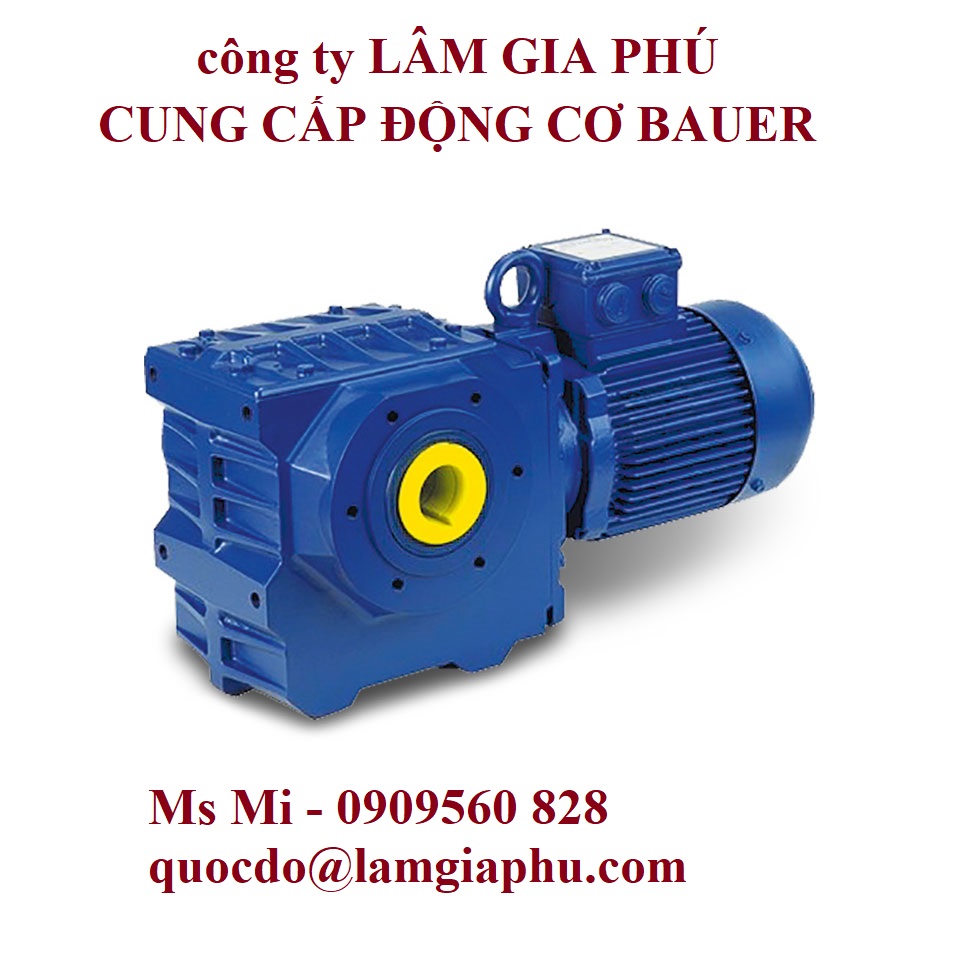 Bauer-Worm-Geared-Motor---BS-Series
