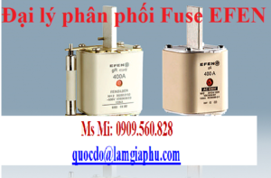 cầu chì EFEN NH Series